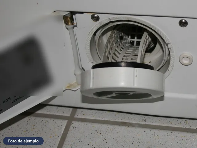 Después (foto de ejemplo): filtro de la bomba limpio en su lugar
